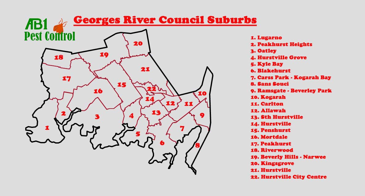 St George - Georges River Council Map