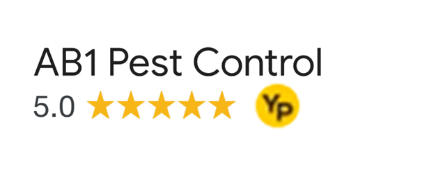 5 Star Review