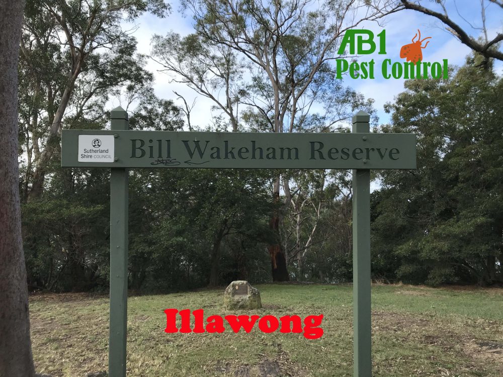 Bill Wakeham Reserve Illawong