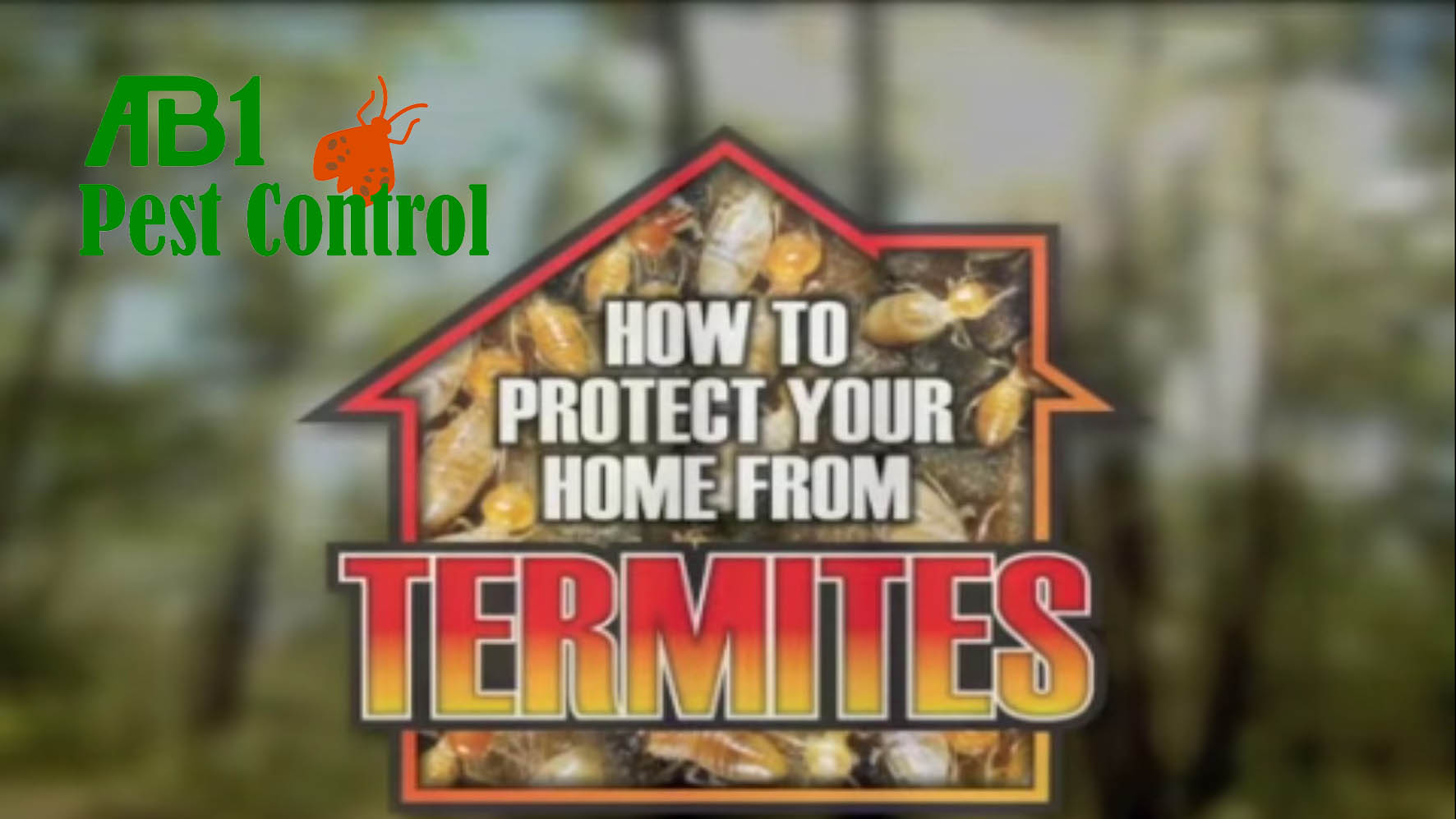 Termite protection for your home