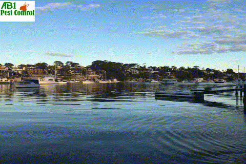 Sutherland Shire Caringbah South Port Hacking River