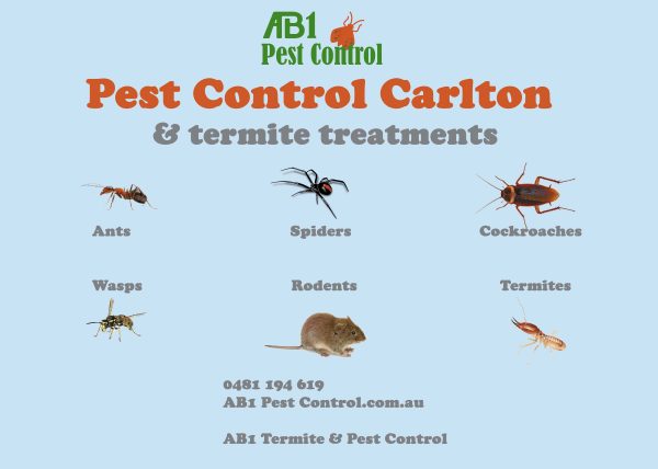 Carlton Pest Identification Card