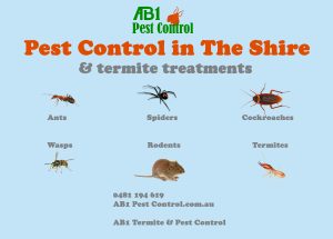Sutherland Shire Pest Identification Card