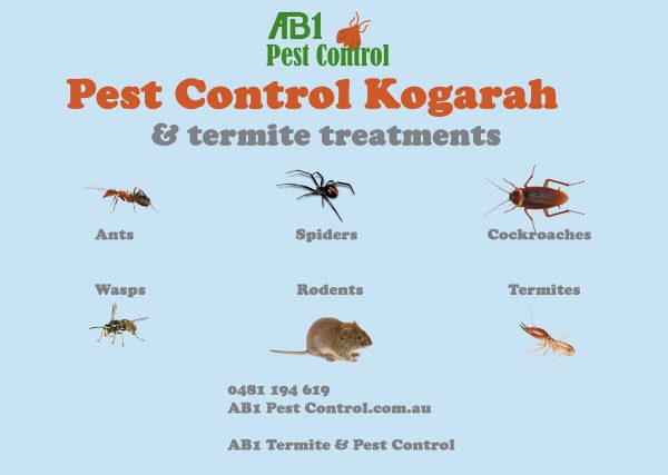 Kogarah Pest Identification Card