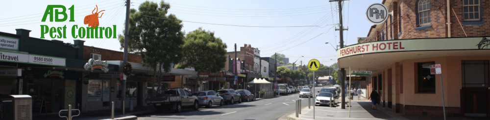 Shops at Penshurst