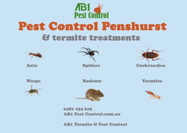 Pest Identification Card Penshurst