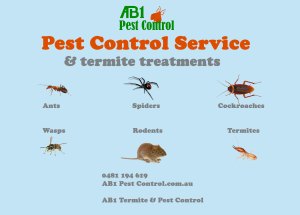 Pest Identification Card