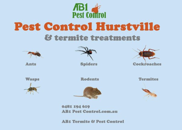 Pest Identification Card Hurstville