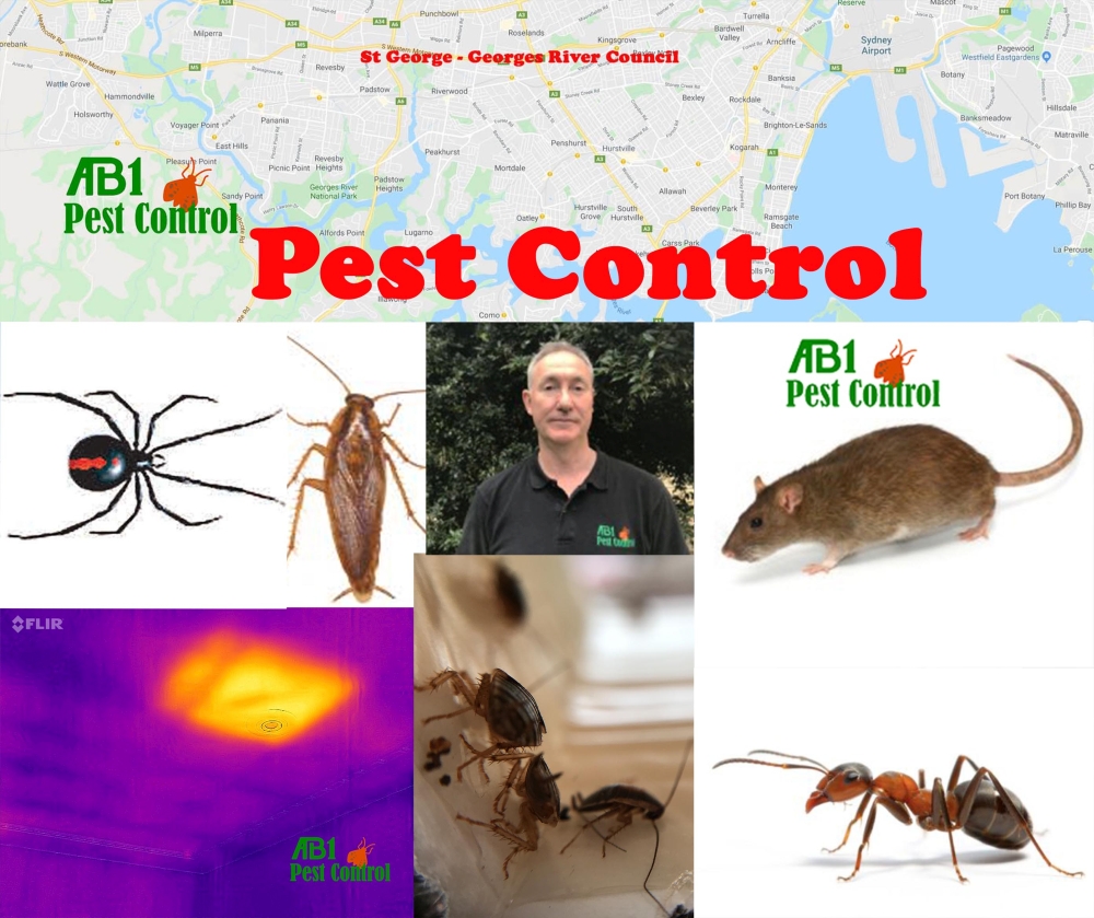 Pest control St George