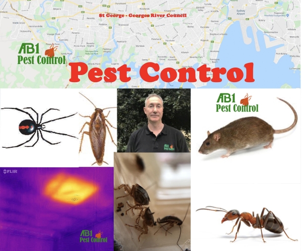 Pest Control Mortdale