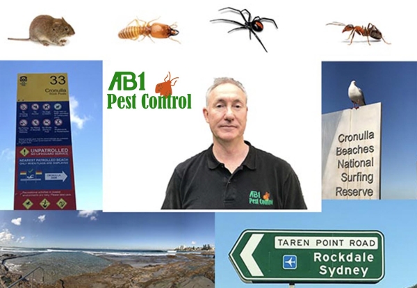 Pest Control Sutherland