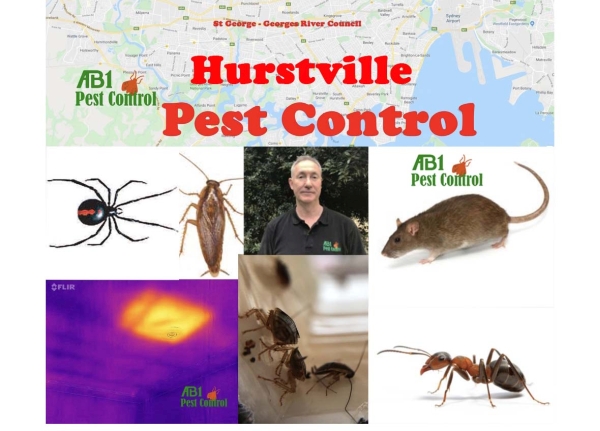 Pest Control Hurstville Welcome