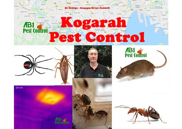 Welcome To Pest Control Kogarah