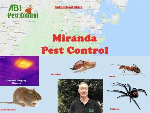 Mirand Pest Service