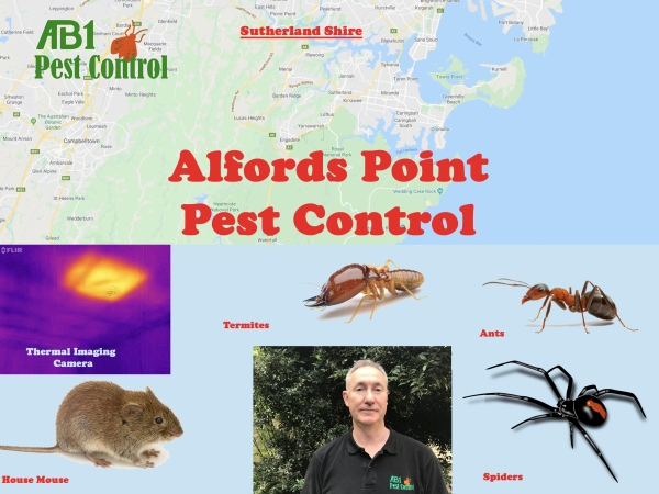 Alfords Point Pest Control