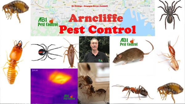 Arncliffe Pest Servicxe
