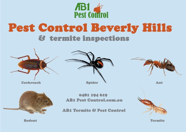 Beverly Hills Pest Service