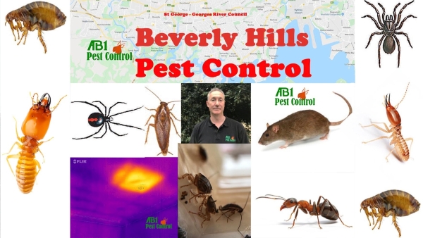 Beverly Hills Pest Service