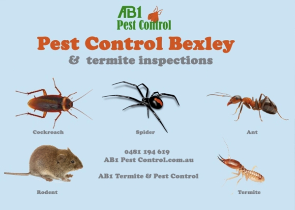 Bexley Pest Service