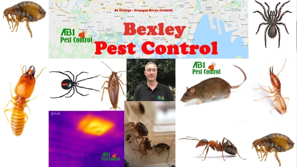 Bexley Pest Service