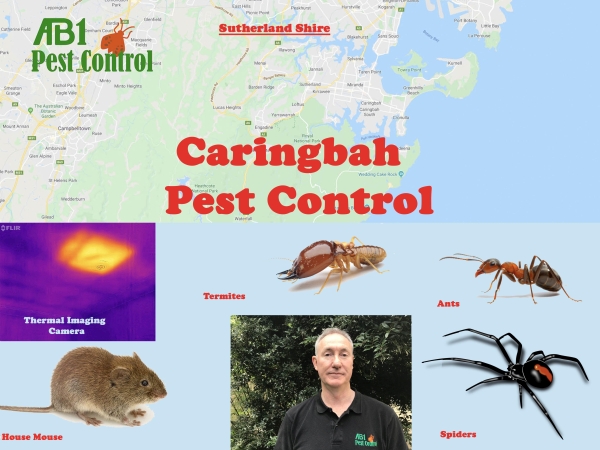 Caringbah Pest Control