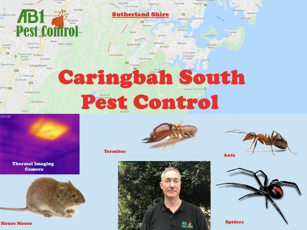 Caringbah South Pest Control