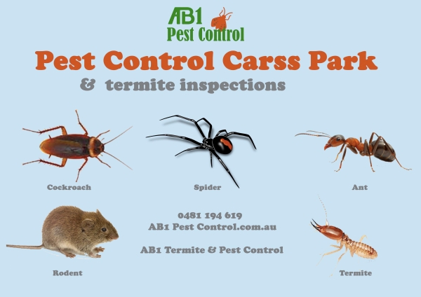 Carss Park Pest Service