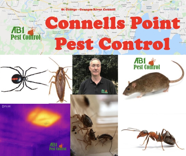 Connells Point Pest Service