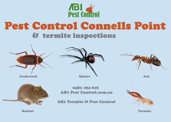 Connells Point Pest Service