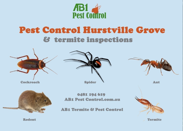 Hurstville Grove Pest Service