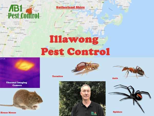 Illawong Pest Service