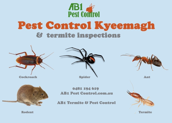 Kyeemagh Pest Service
