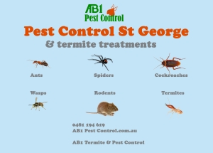 St George Pest Service