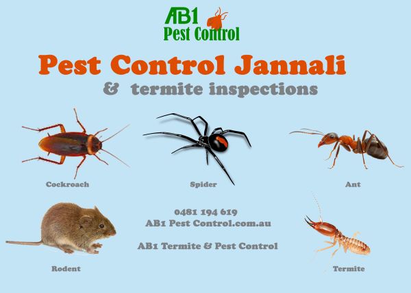 Jannali Pest Service