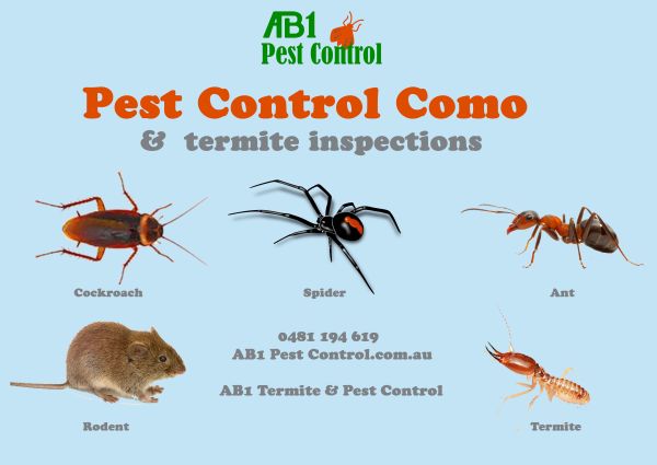 Como Pest Service