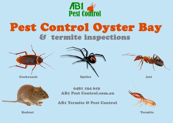 Oyster Bay Pest Service