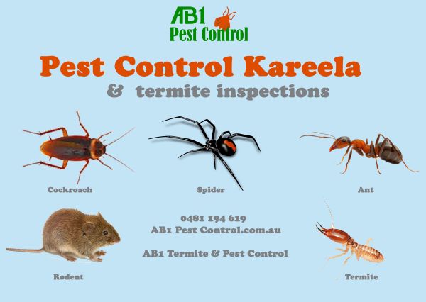 Kareela Pest Service