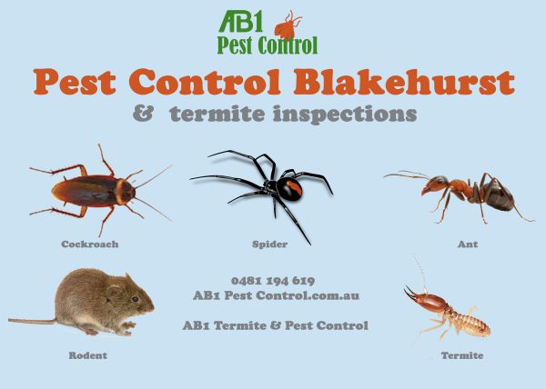 Blakehurst Pest Service