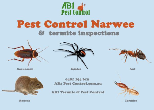 Narwee Pest Service