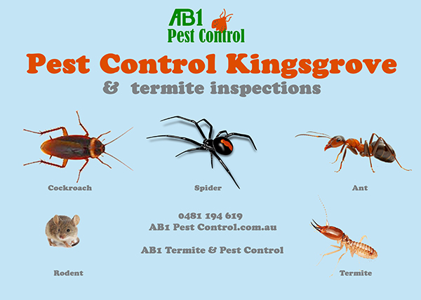 Kingsgrove Pest Service
