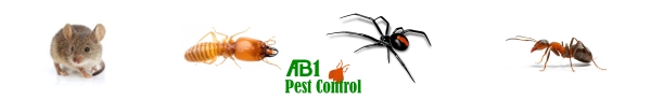 Pest Control Insects