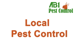 pest control near Blakehurst NSW