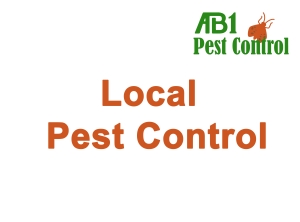 Pest Control near Hurstville Grove NSW