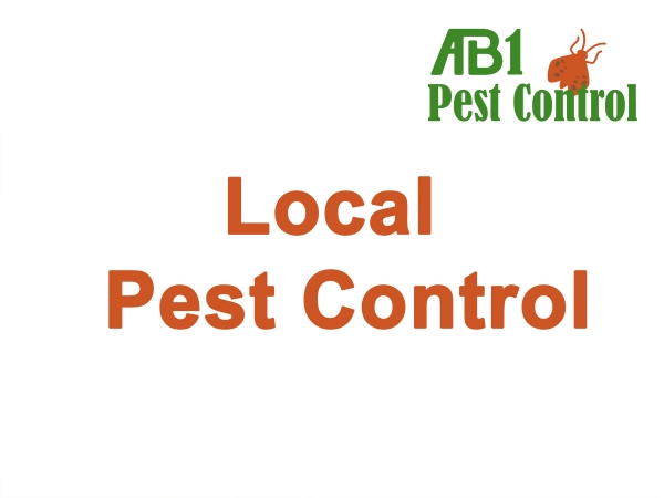 Pest Control Oatley Local